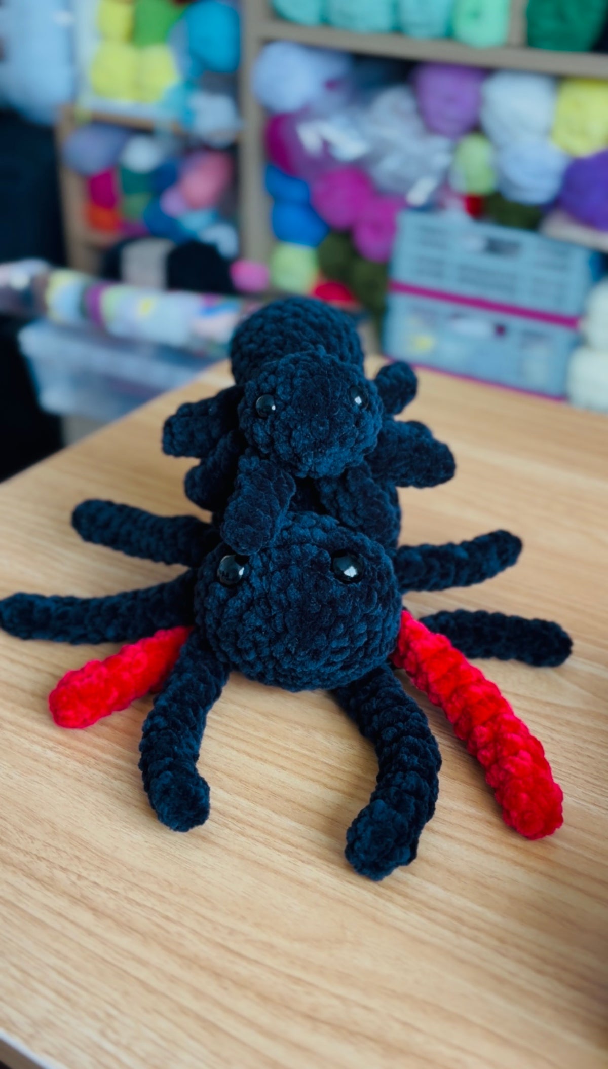 Too cute to spook Spider Biggo