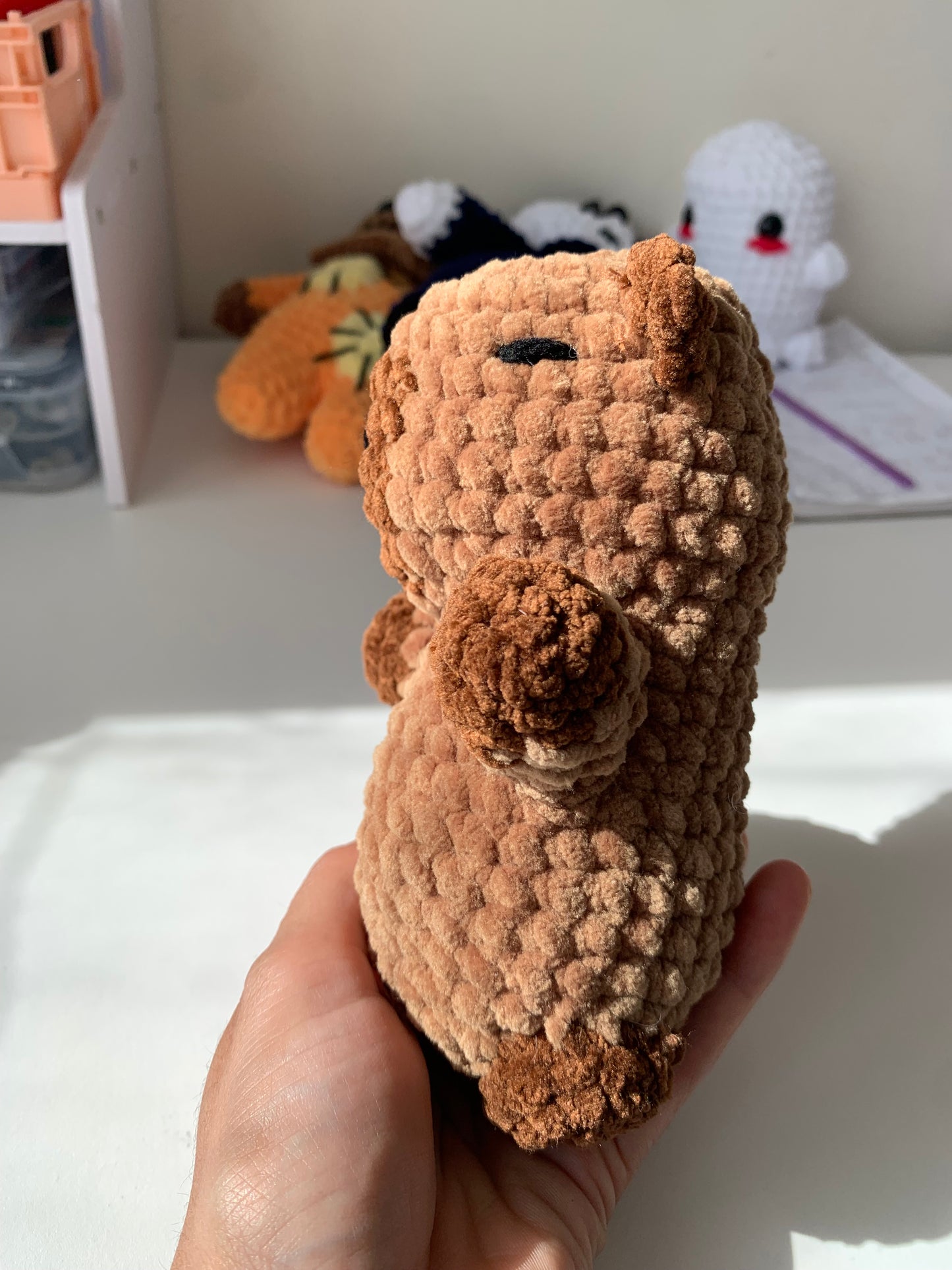 CapyBara