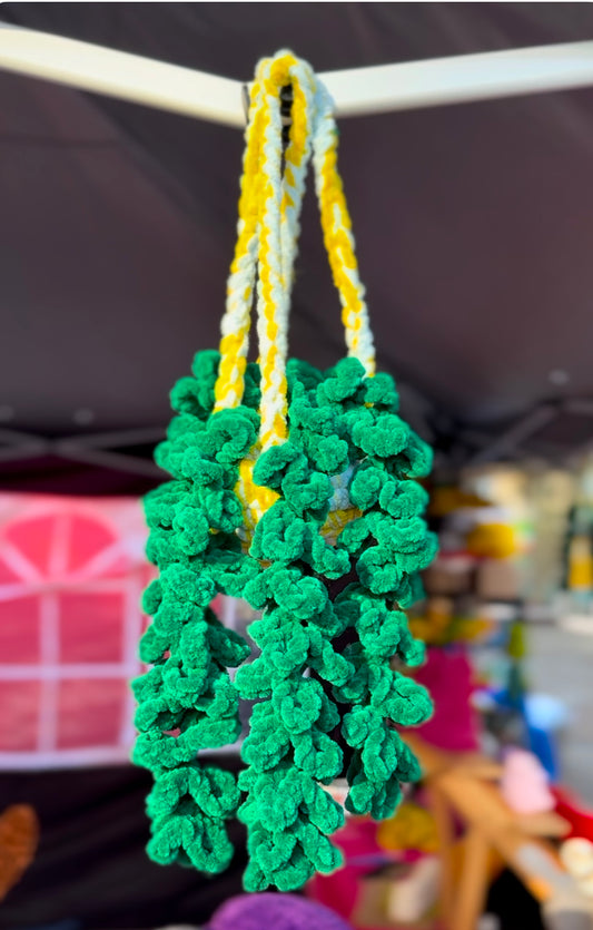 Hanging Beautiful Crochet Plant