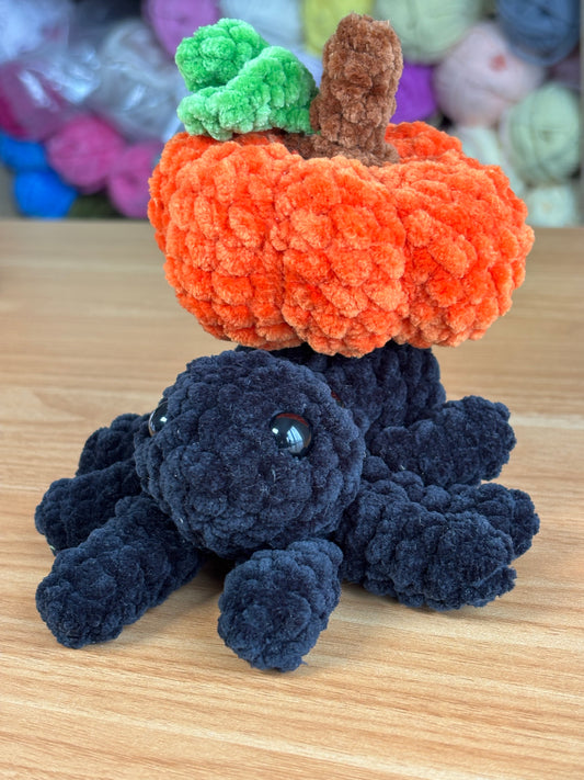 Too cute to spook Spider mino
