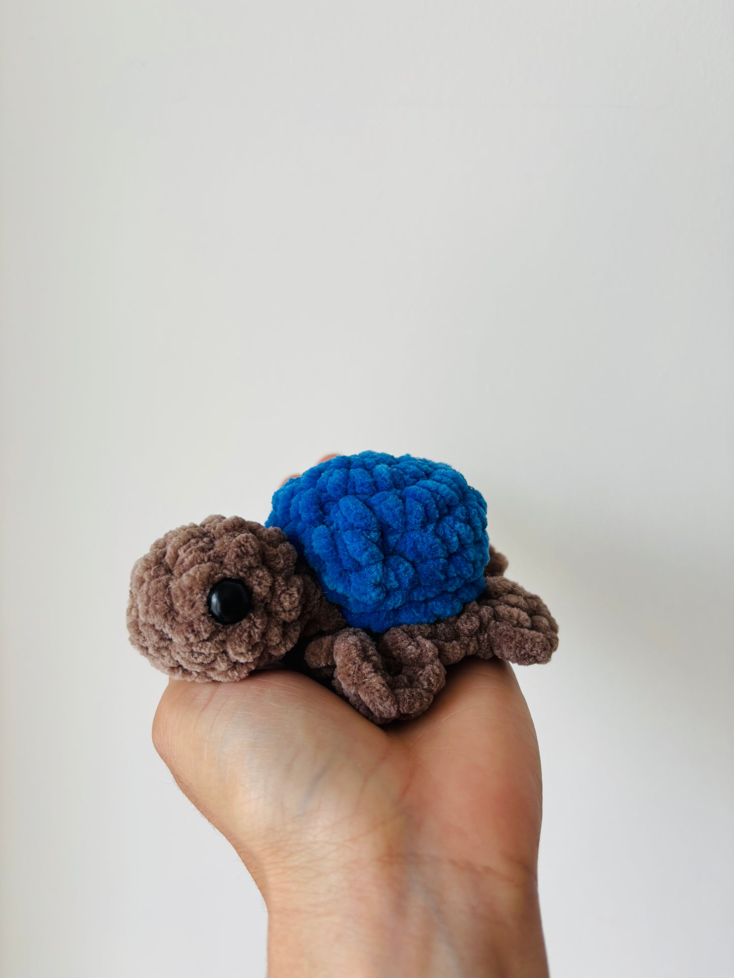 Blue Tank the Turtle