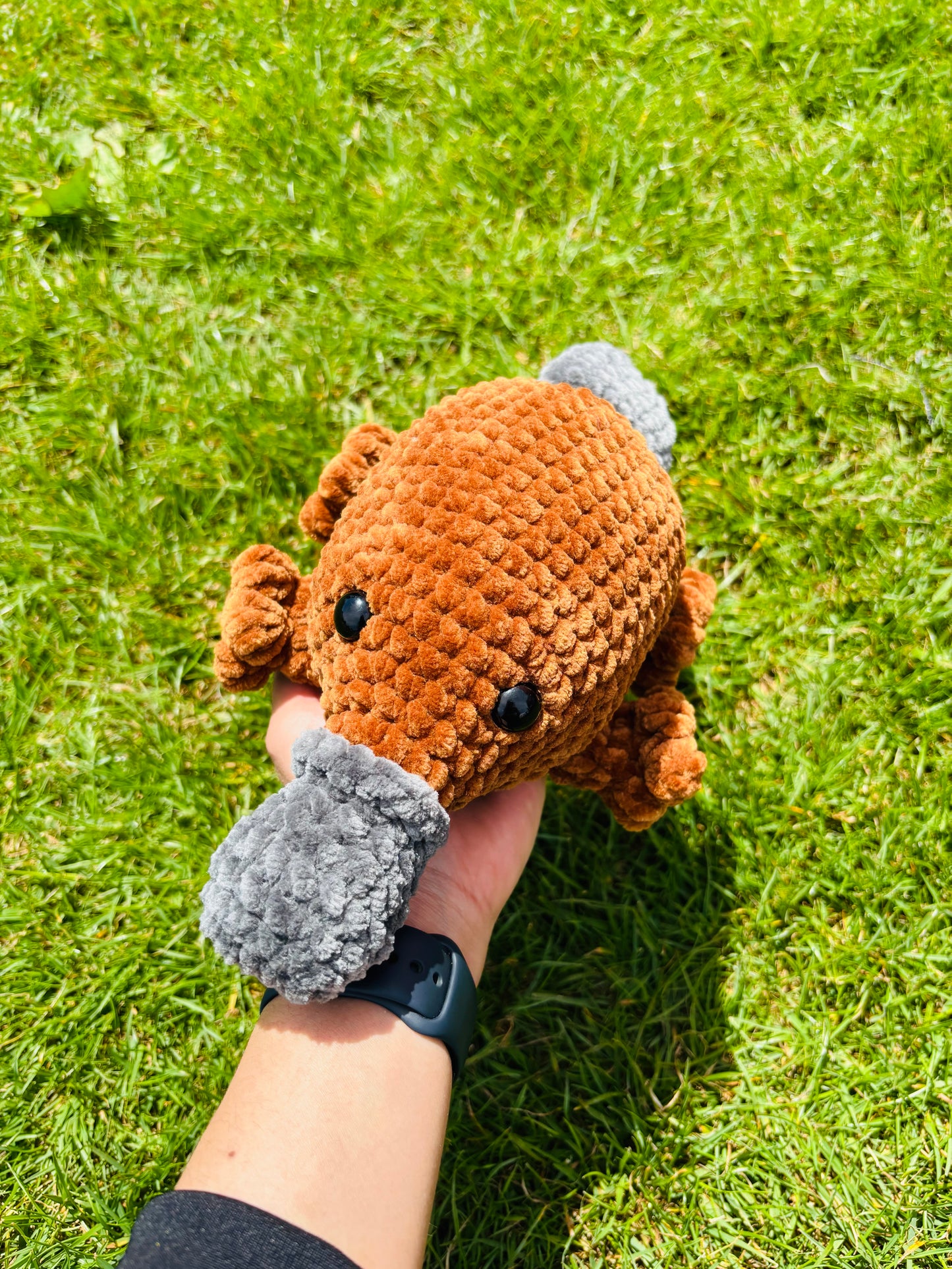 Platypus Crochet Pattern