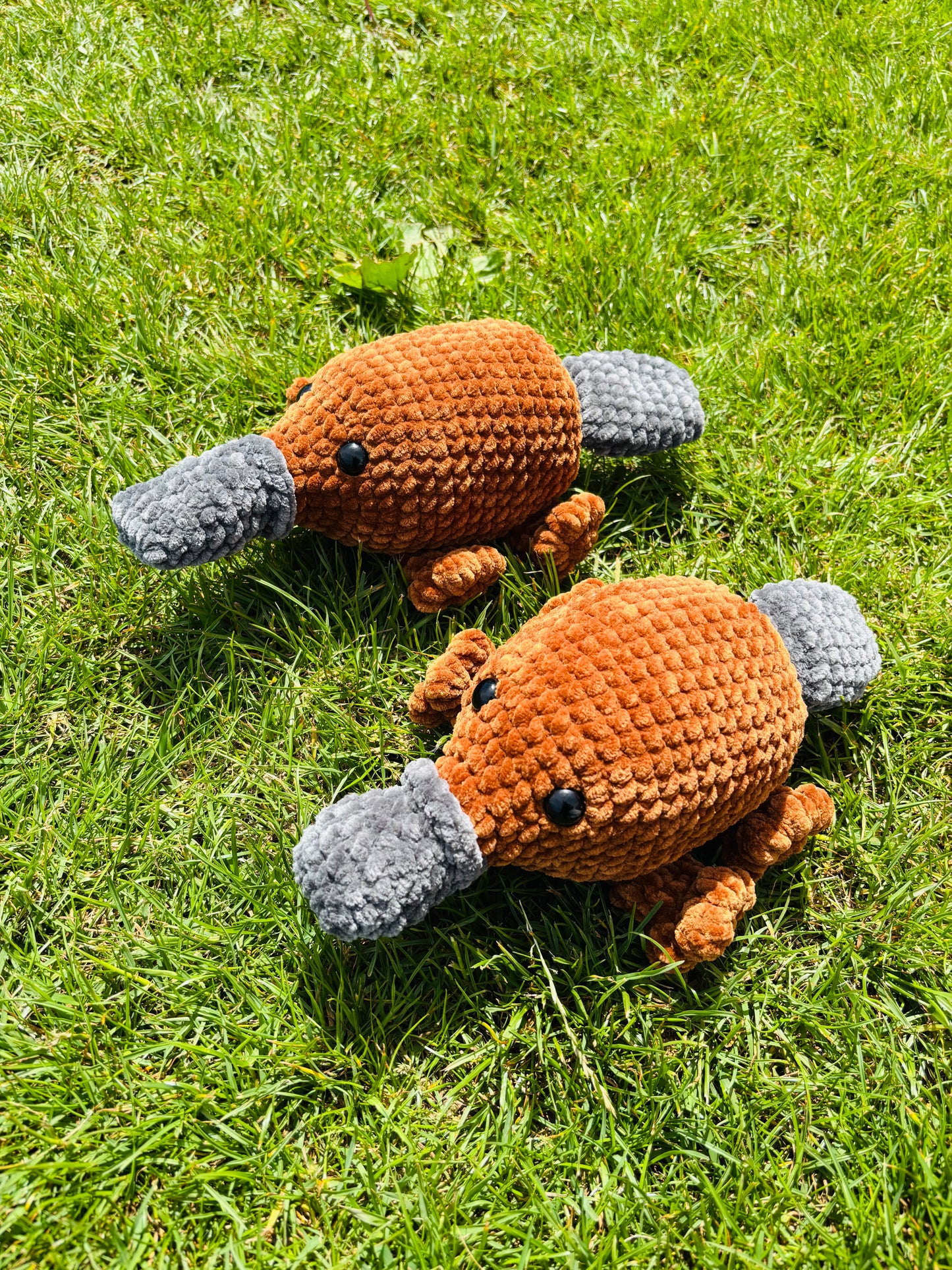 Platypus Crochet Pattern