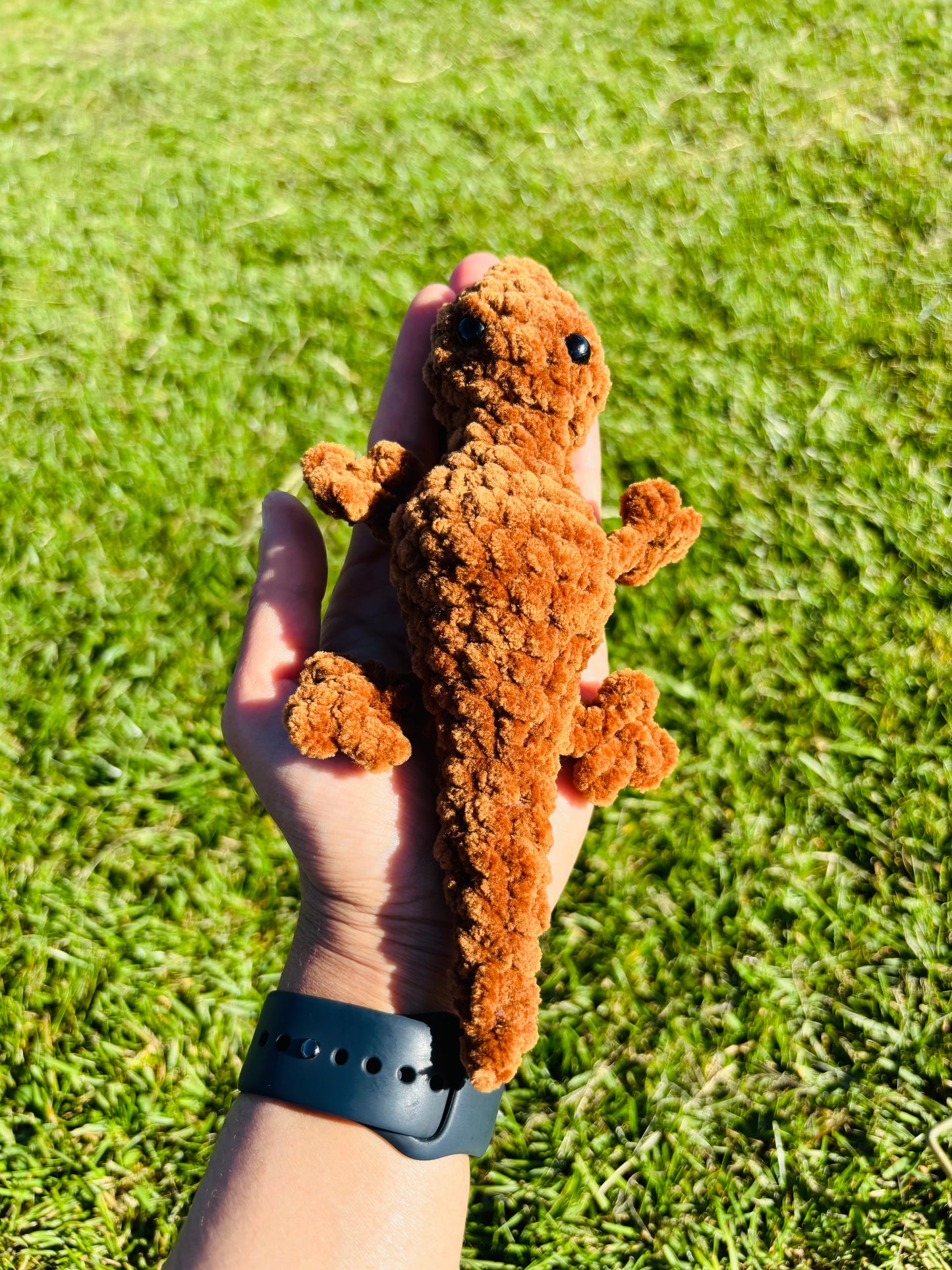 Liz the lizard