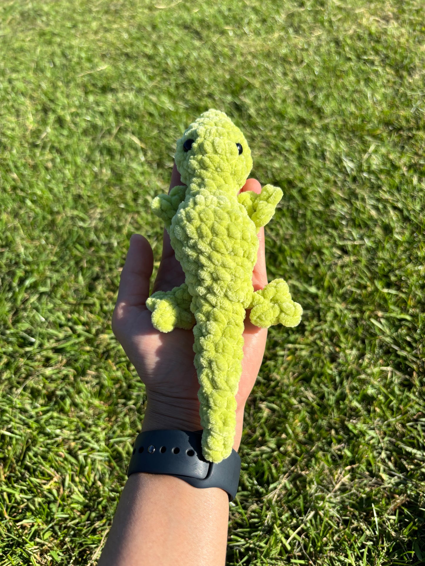 Liz the lizard