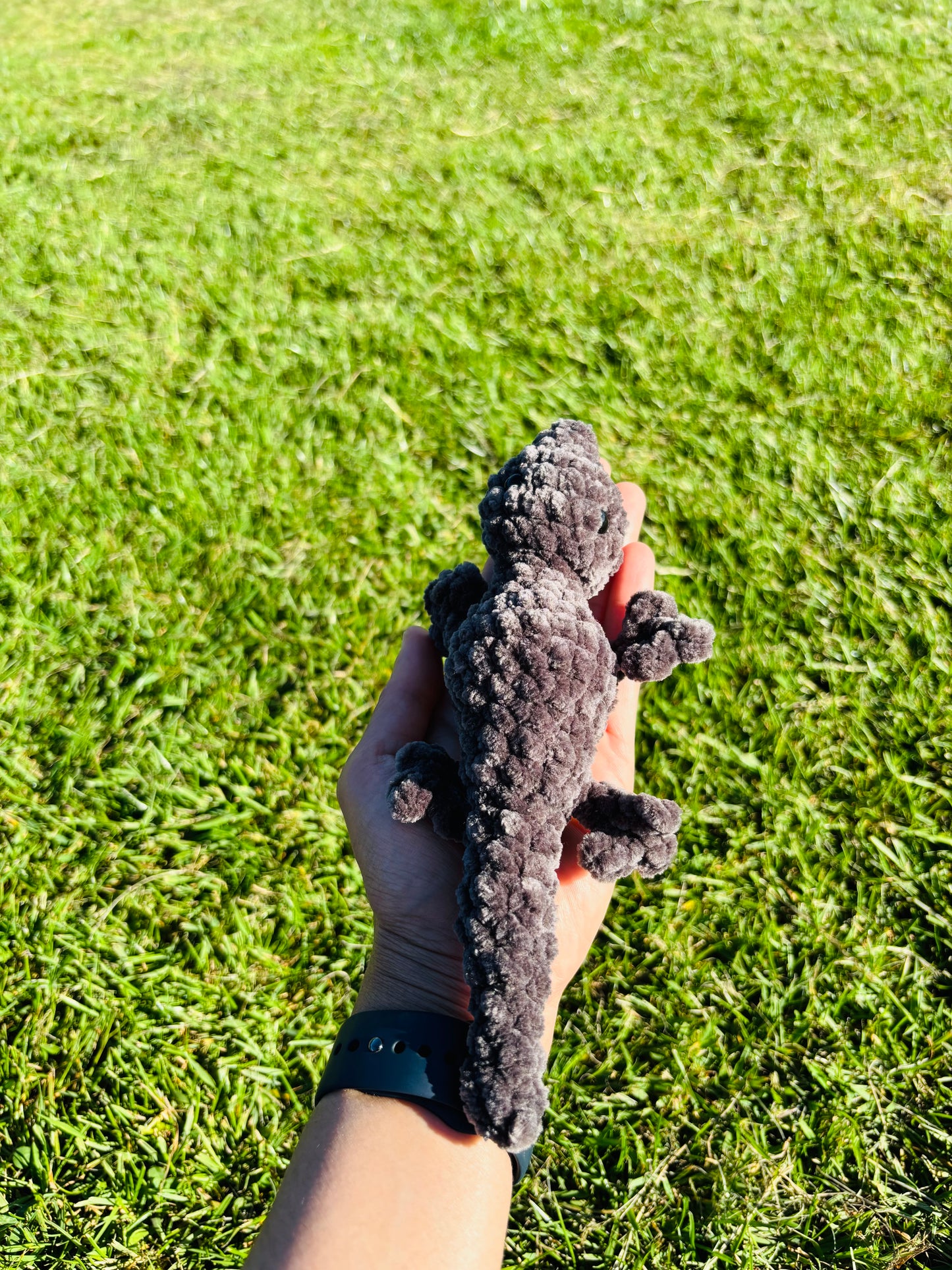 Liz the lizard