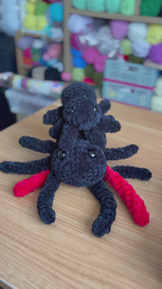 Too cute to spook Spider Biggo